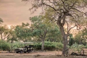 Safari Planning Tips