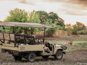 Game Drive