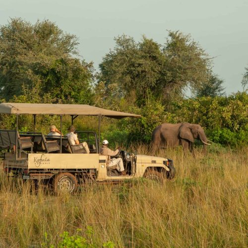 KafuntaSafaris_Drive_2