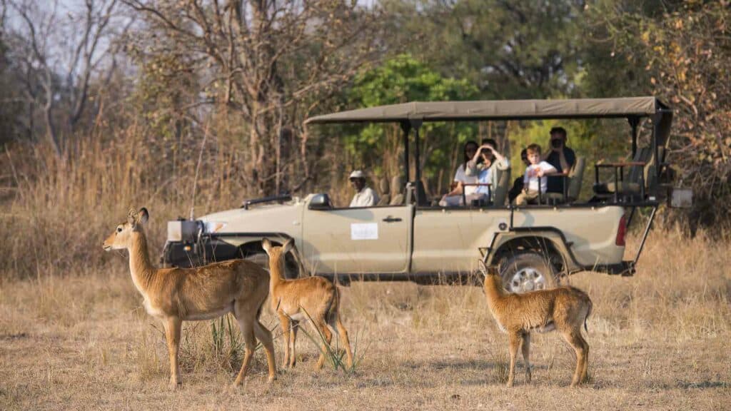 A game drive at Kaing'U