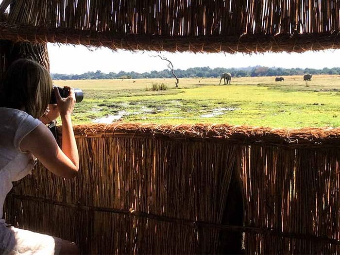 safari wildlife hide with person taking photo