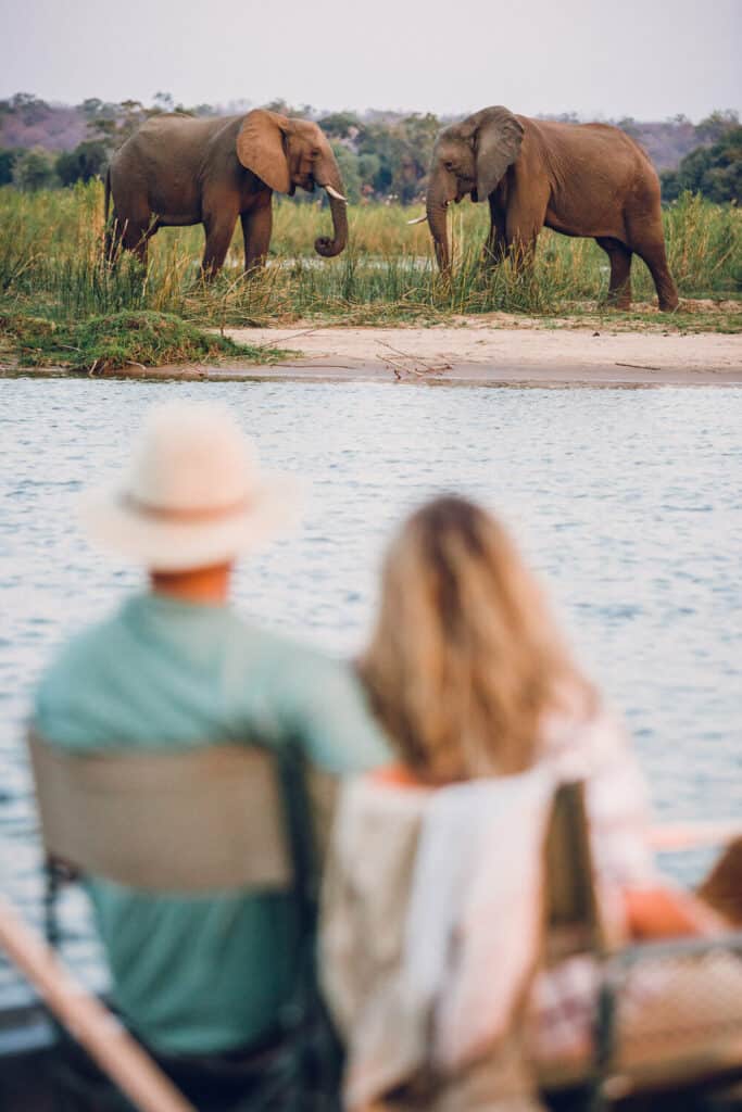 Boating in Lower Zambezi