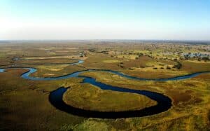 Aerial shot of the Okavango River, Botswana