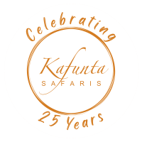 Kafunta Safaris Anniversary